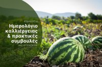 Βέλτιστες πρακτικές συγκομιδής και εξαγωγικές ευκαιρίες για τα καρπούζια της Μεσογείου το 2025